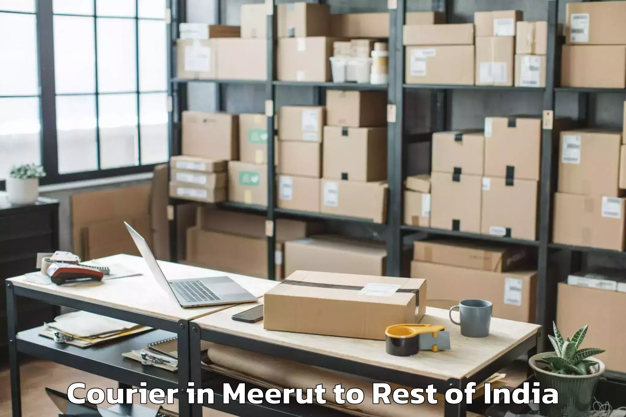 Book Meerut to Kebang Courier